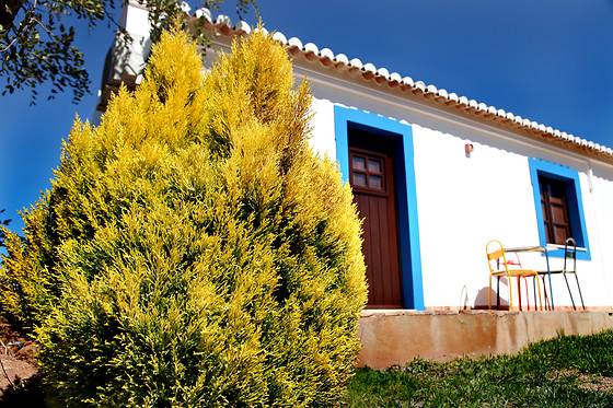HERDADE DA CORTE - photo 3