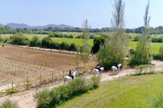 Son Menut en Felanitx (Baleares)