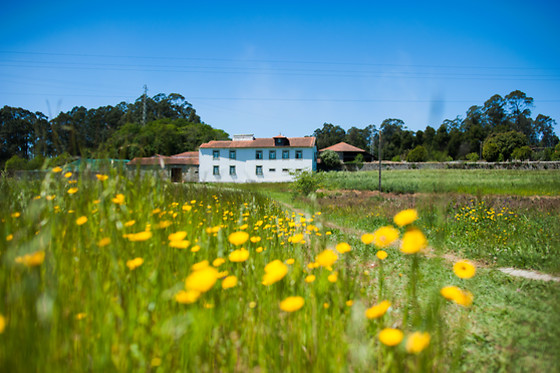 CASA MINDELA - photo 3