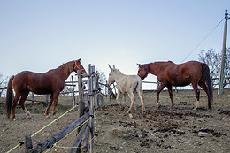 Agriranch La Bëtla