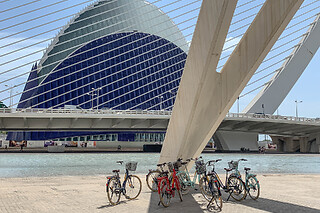 Un alquiler de patinete para 2 en Tourpoint en Valencia