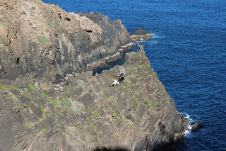 Parapente en Las Palmas