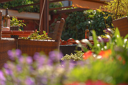 RESTAURANTE JARDINES DE ZORAYA