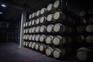 Bodegas Viyuela en Burgos