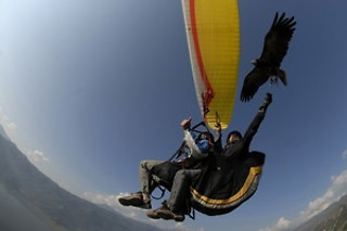 Un vuelo en parapente biplaza para 1 en Parapente Santa Pola en Santa Pola (Alicante)