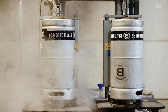 Brasserie de Bertinchamps - photo 15
