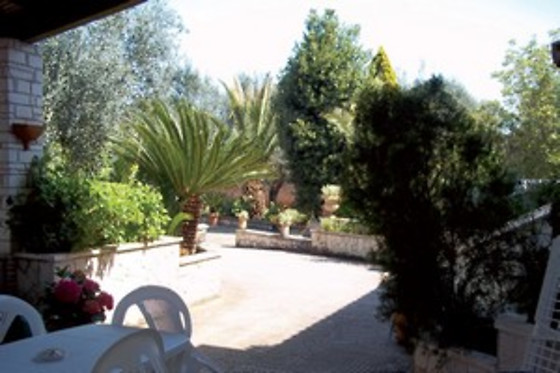 Contrada Macchia - photo 6
