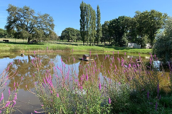 Camping de l'Etang du Pays Blanc - photo 11