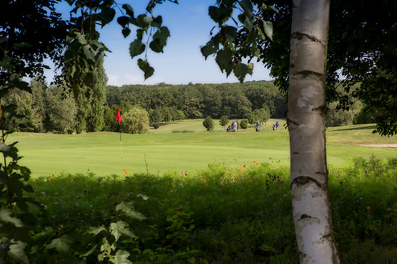 Ugolf Metz Cherisey - photo 0
