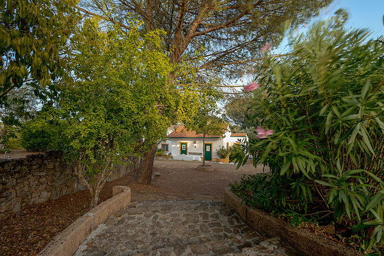 CASA DO VALE - photo 10