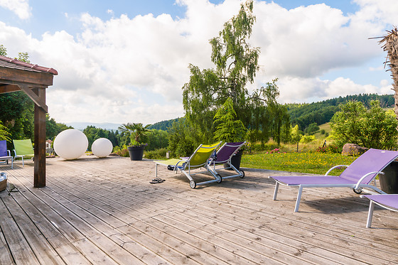 Complexe Hôtelier du Donon - Restaurant Velleda - photo 12