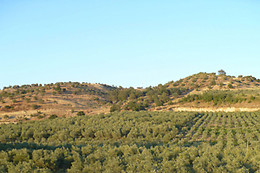 Agri-Club