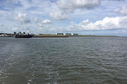 Wadlopen Pieterburen