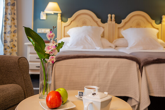 Una noche con desayuno para 2 en Palacio de La Viñona**** en Oviedo (Asturias)