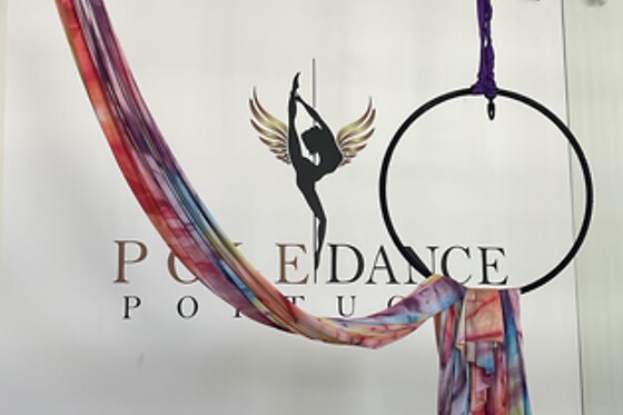 POLE DANCE - photo 3
