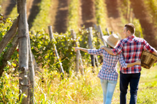 Escapada entre viñedos
