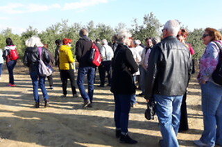 Una visita guiada, degustación y entrada a Geoda Gigante de Pulpí para 2 en OleoAlmanzora en Pulpí (Almería)