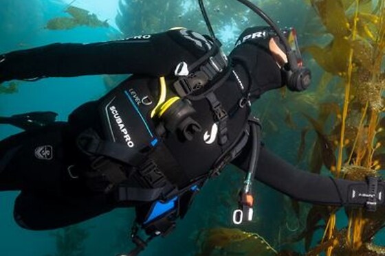 Un bautizo de buceo en mar para 2 en Freeandivers en Sant Adrià de Besòs (Barcelona)