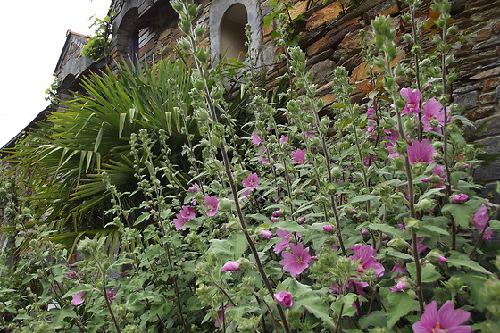 Le Clos du Tay - photo 3