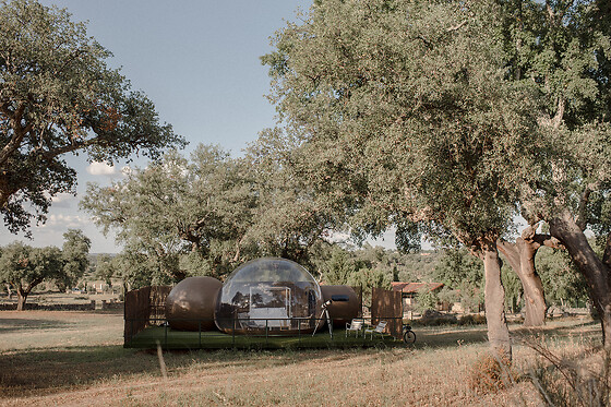 Una noche en burbuja para 2 en Finca El Cortiñal en Valencia de Alcántara ( Cáceres)