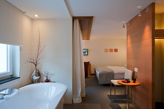Hotel Allalin - photo 9