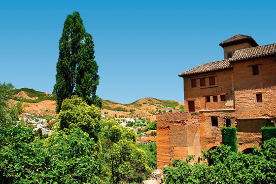 Escapada entre viñedos