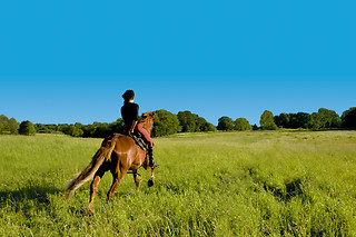 Ruta a caballo por la dehesa extremeña en Cáceres