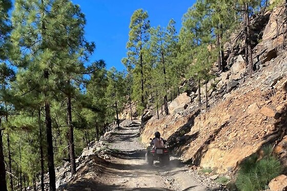 Una excursión tour de día al Teide para 2 en Fun Teide Quad en Valle de San Lorenzo (Santa Cruz de Tenerife)
