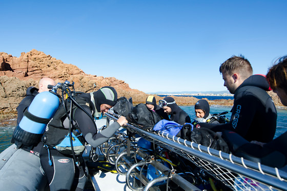 Aquatic Rando - photo 21