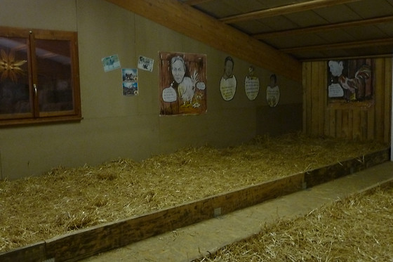 Zucht- und Reitstall Gentinetta - photo 10