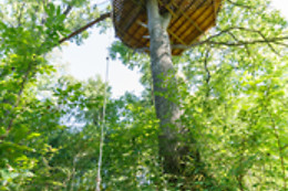 Domaine des Vaulx