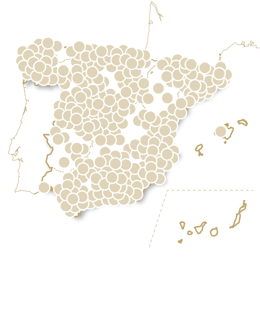 Felices Fiestas Únicas