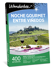 Noche gourmet entre viñedos