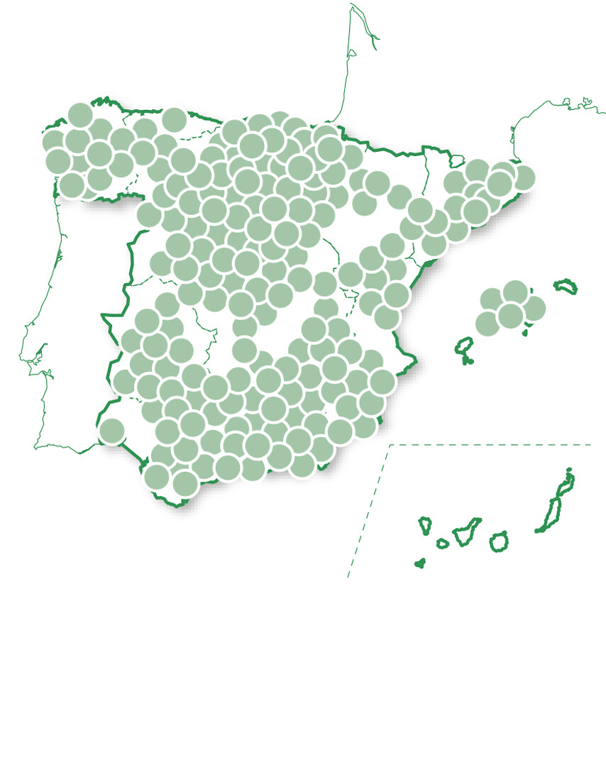 Noche gourmet en rincones únicos