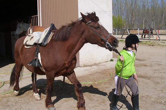 CENTRO ECUESTRE LOS CABALLOS DE LA RIBERA - photo 1