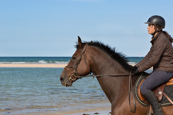 Sables d'Or Equitation - photo 9