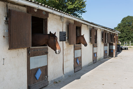 Sables d'Or Equitation - photo 6