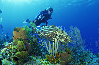 Inmersión con equipo de buceo en Ciudatella de Menorca (Islas Baleares)