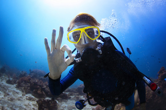 Inmersión de buceo en Los Cristianos (Santa Cruz de Tenerife)