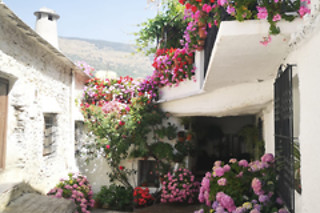 Visita guiada desde Granada a la Alpujarra