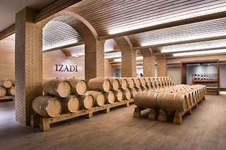 Una visita a viñedo en ebike y cata de vinos en bodega para 2 en Bodegas Izadi en Villabuena de Álava (Álava)