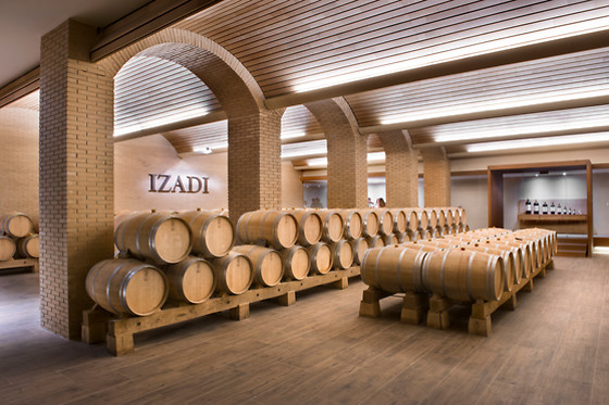 Una visita a viñedo en ebike y cata de vinos en bodega para 2 en Bodegas Izadi en Villabuena de Álava (Álava)