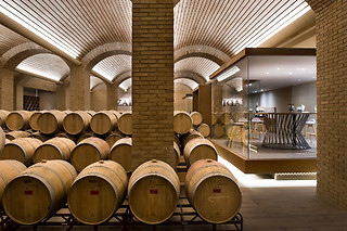 Una visita a viñedo en ebike y cata de vinos en bodega para 2 en Bodegas Izadi en Villabuena de Álava (Álava)