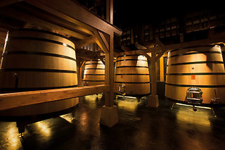 Una visita a viñedo en ebike y cata de vinos en bodega para 2 en Bodegas Izadi en Villabuena de Álava (Álava)