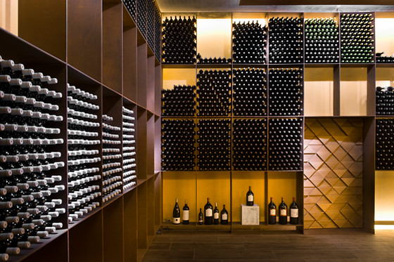 Una visita a viñedo en ebike y cata de vinos en bodega para 2 en Bodegas Izadi en Villabuena de Álava (Álava)