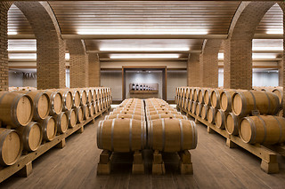 Una visita a viñedo en ebike y cata de vinos en bodega para 2 en Bodegas Izadi en Villabuena de Álava (Álava)