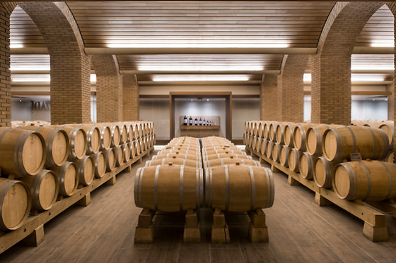 Una visita a viñedo en ebike y cata de vinos en bodega para 2 en Bodegas Izadi en Villabuena de Álava (Álava)
