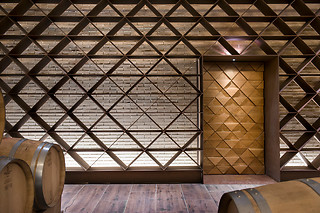 Una visita a viñedo en ebike y cata de vinos en bodega para 2 en Bodegas Izadi en Villabuena de Álava (Álava)