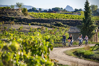 Una visita a viñedo en ebike y cata de vinos en bodega para 2 en Bodegas Izadi en Villabuena de Álava (Álava)