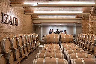 Una visita a viñedo en ebike y cata de vinos en bodega para 2 en Bodegas Izadi en Villabuena de Álava (Álava)